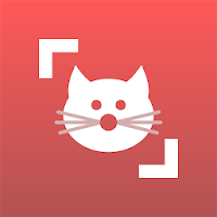 Cat Scanner Breed Recognition MOD APK 12.15.4 (Premium Unlocked) Android